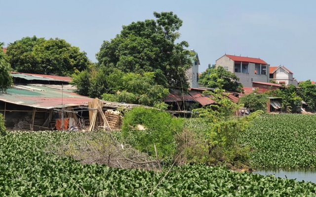 Vĩnh Phúc: Đất công ích bị “phù phép” thành xưởng gỗ, nhà ở như thế nào?