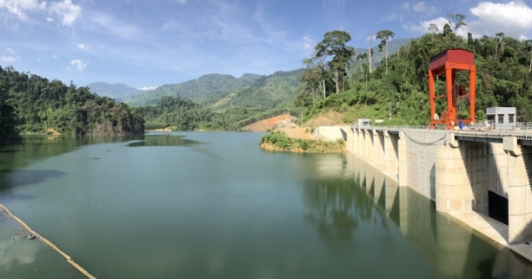 Lợi nhuận Đạt Phương “dềnh” lên theo dòng nước lớn, cổ phiếu lập đỉnh mới