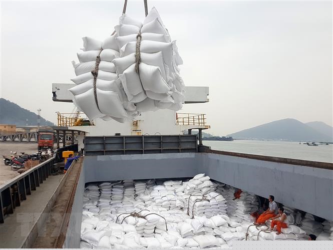 Xuất cấp không thu tiền hơn 4 nghìn tấn gạo cho 3 tỉnh phía nam gặp khó khăn do dịch COVID-19. Ảnh minh họa.