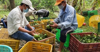 Hậu Giang: Người dân ở khu vực “vùng xanh” được tự do mua bán