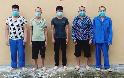 Hà Giang: Khởi tố, bắt giam 5 đối tượng trong vụ chặt hạ 134 cây gỗ nghiến