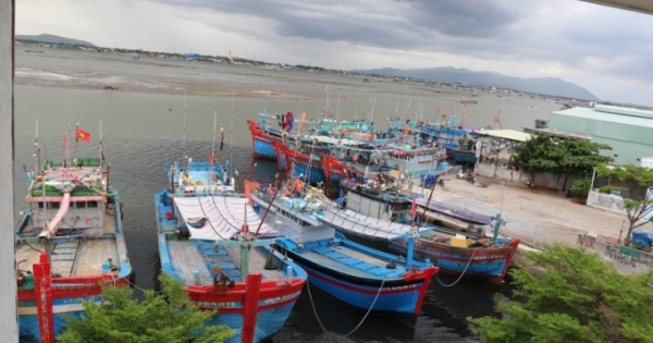 Tạm dừng tàu cá ra khơi ở Bà Rịa - Vũng Tàu từ ngày 26/8