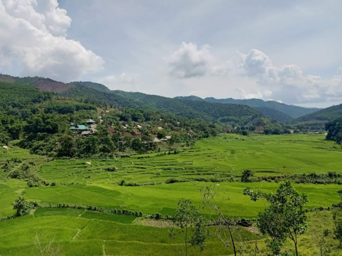 240246843_917093939154533_4280765024913195293_n