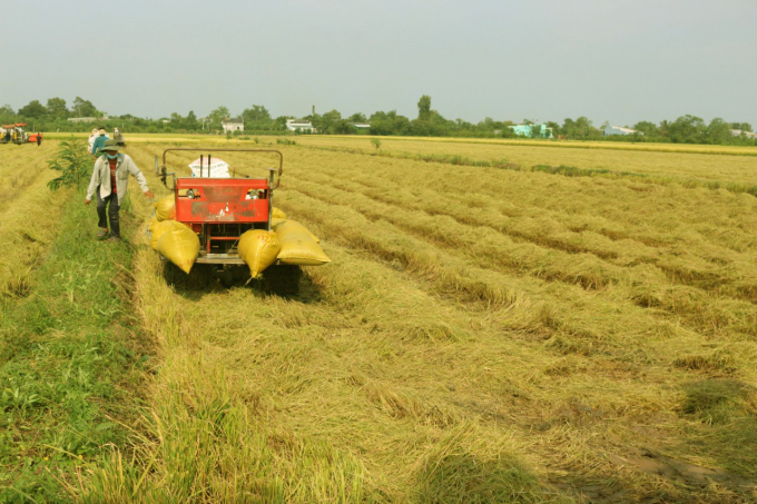 Đất nước ta từ xa xưa đã gắn bó với nền nông nghiệp lúa nước, phía sau những cánh đồng lúa xanh non mơn mởn là hình ảnh những người nông dân “bán mặt cho đất, bán lưng cho trời”.  Qua bao thế hệ, đến nay vẻ bình dị, thơ mộng của bức tranh cánh đồng lúa vẫn hút hồn nhiều bạn trẻ.