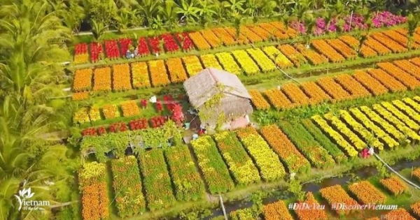 "Lướt chuột" chiêm ngưỡng "vẻ đẹp bất tận"