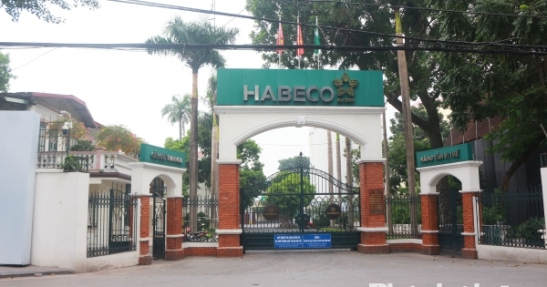 Habeco có lãi trở lại sau quý đầu năm thua lỗ