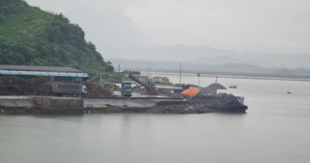 Quảng Ninh: Cảng hàng hóa "biến tướng" thành xưởng băm dăm trái phép