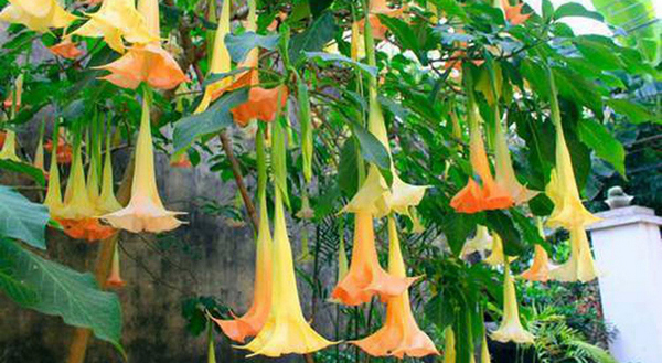 043-1648730232211-16487302323111083377443