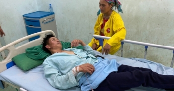 8 người ở Hà Giang nhập viện vì ăn hoa rừng xào trứng