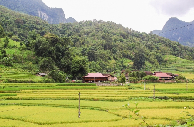 Nghệ An tích cực triển khai các tiểu Dự án thuộc Chương trình mục tiêu quốc gia