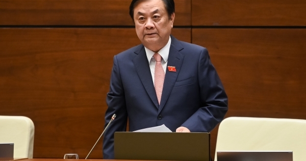 Giá gạo tăng cao, giải pháp nào đảm bảo an ninh lương thực quốc gia?