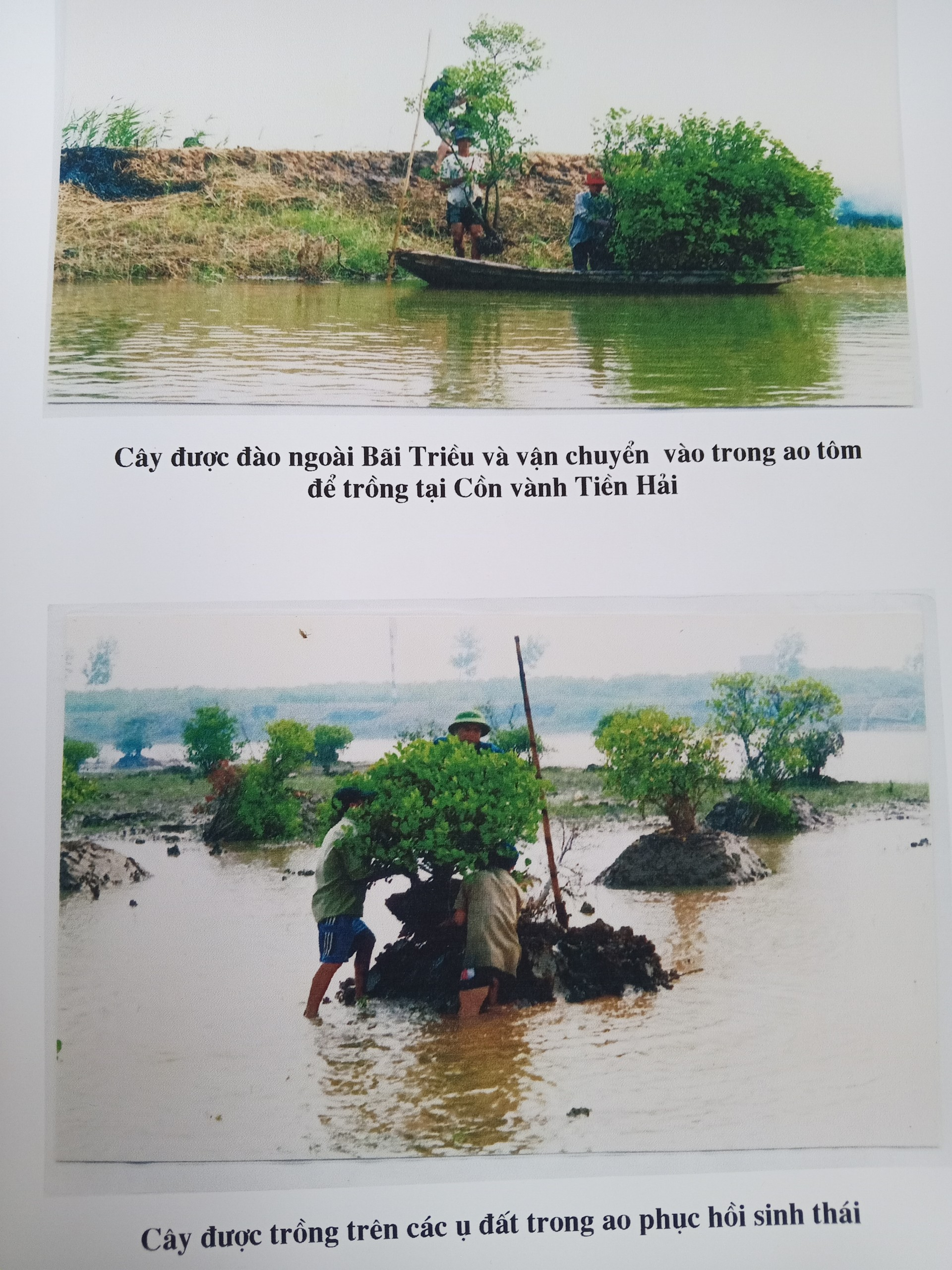 z4554132107130_439822262c68b1d9ea724c690bef89ad