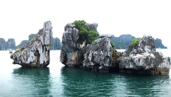 f16b446dc3202a7e7331