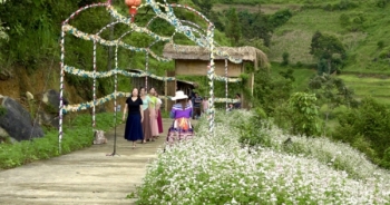 Chàng trai người Mông làm du lịch trên "Núi Tình Si Ma Cai"