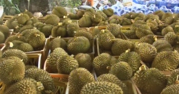 Kinh hoàng: Phát hiện hơn 2 tấn sầu riêng tẩm hóa chất tại Lâm Đồng