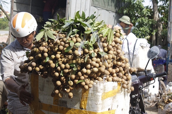 Hưng Y&ecirc;n: &ldquo;Kh&ocirc;ng c&oacute; chuyện người d&acirc;n d&ugrave;ng lưu huỳnh để x&ocirc;ng l&agrave;m v&agrave;ng quả, s&aacute;ng m&atilde; cho nh&atilde;n&rdquo;