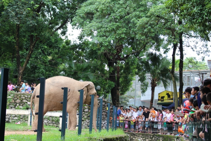 H&agrave; Nội: C&ocirc;ng vi&ecirc;n Thủ Lệ