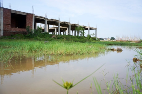 Nền s&acirc;n cạnh t&ograve;a nh&agrave; th&agrave;nh c&aacute;c v&ugrave;ng trũng lầy lội, ngập đầy nước mưa, c&acirc;y cỏ dại mọc um t&ugrave;m.