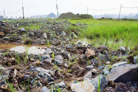 Đất đ&aacute; ngổn ngang, nhếch nh&aacute;c.