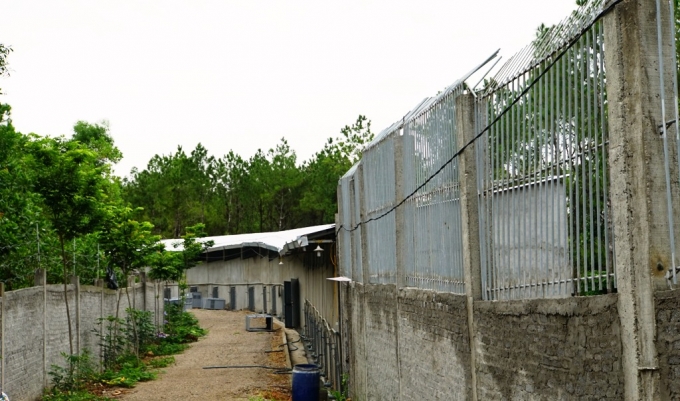 Khu vực nu&ocirc;i nhốt hổ tại Khu du lịch sinh th&aacute;i Ho&agrave;n Nhạn của c&ocirc;ng ty Bạch Ngọc L&acirc;m.