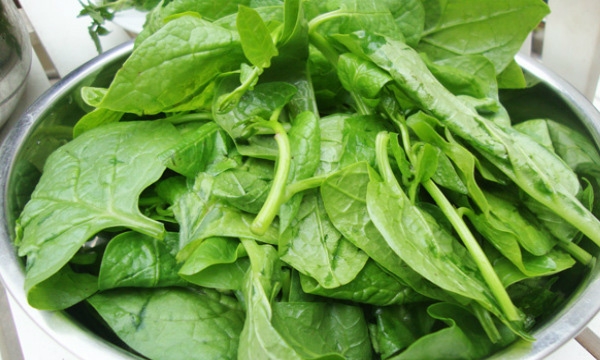 Ăn qu&aacute; nhiều rau mồng tơi khiến cơ thể hấp thụ k&eacute;m v&igrave; chứa một h&agrave;m lượng axit oxalic cao. Ảnh: Internet