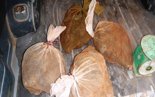 Quảng Bình: Bắt quả tang 4 cá thể Cầy quý hiếm được cất giấu trong xe