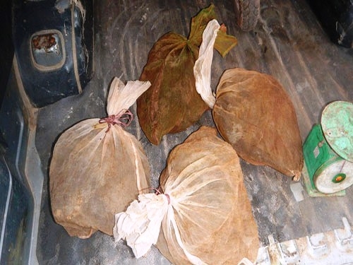 4 tang vật Cầy qu&yacute; hiếm m&agrave;&nbsp;Hạt Kiểm l&acirc;m VQG Phong Nha &ndash; Kẻ B&agrave;ng thu giữ được tại hiện trường.