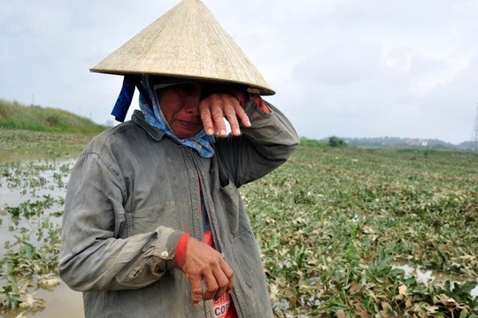 &nbsp;Những th&ocirc;ng tin thất thiệt khiến người n&ocirc;ng d&acirc;n vốn đ&atilde; cơ cực lại th&ecirc;m phần khốn đốn. I.T