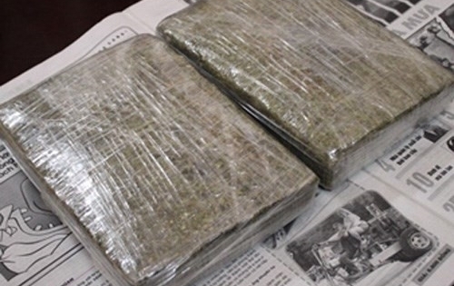 41 năm tù cho ba kẻ xách thuê 30 bánh cần sa