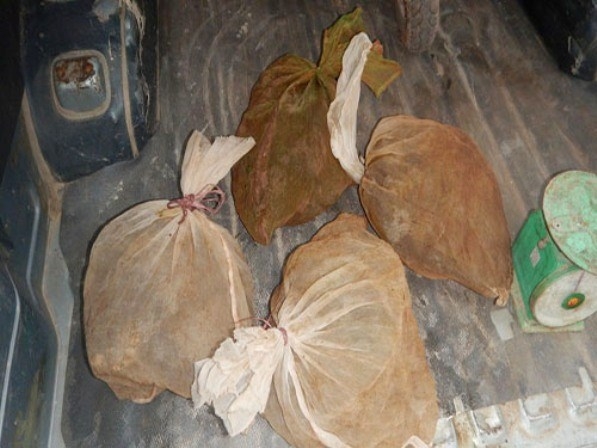 C&aacute;c c&aacute; thể cầy v&ograve;i được nhốt trong bao cước nhựa v&agrave; cất giấu sau th&ugrave;ng xe.