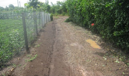 Lối đi ri&ecirc;ng v&agrave;o thửa đất của gia đ&igrave;nh &ocirc;ng Lộc.
