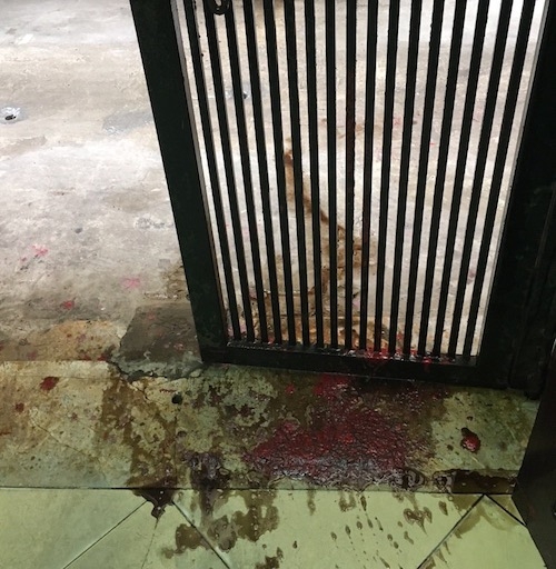 hanoithaiphubihanhhungngaytrenphonhariengbikhungbobangbomban (2)