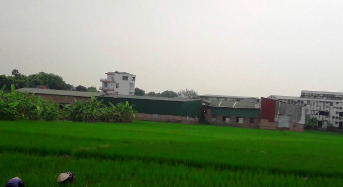 Ho&agrave;i Đức, H&agrave; Nội: H&agrave;ng loạt nh&agrave; xưởng &ldquo;khủng&rdquo; ngang nhi&ecirc;n mọc tr&ecirc;n đất n&ocirc;ng nghiệp