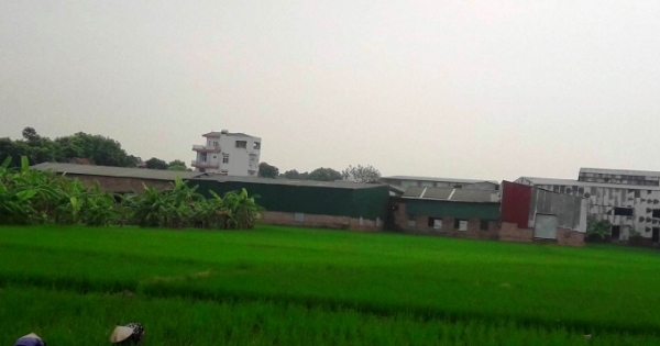 Hoài Đức, Hà Nội: Hàng loạt nhà xưởng “khủng” ngang nhiên mọc trên đất nông nghiệp