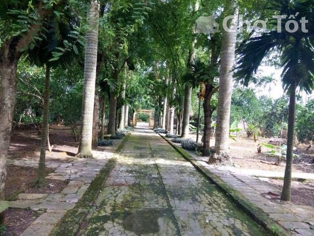 B&aacute;n đất nh&agrave; vườn tại huyện Quốc Oai