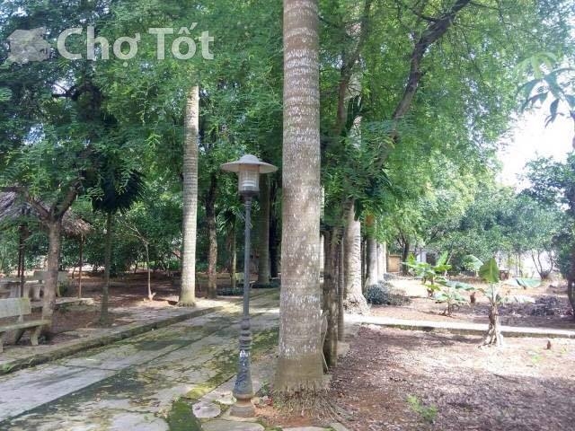 B&aacute;n đất nh&agrave; vườn tại huyện Quốc Oai