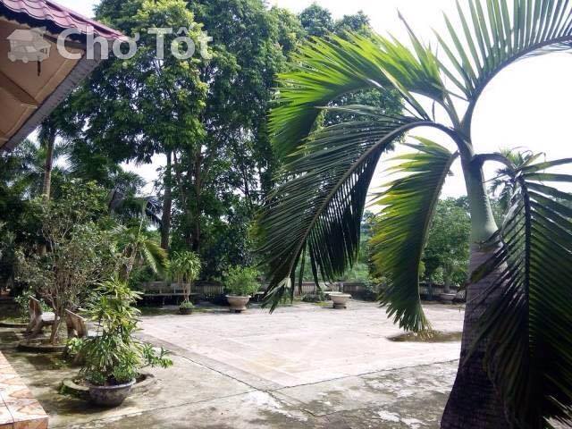 B&aacute;n đất nh&agrave; vườn tại huyện Quốc Oai