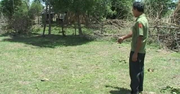 Huế: Một phụ nữ tử vong vì bị bò húc liên tiếp vào người