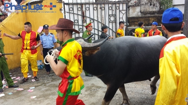 Sự hấp dẫn nhất của buổi chung kết khi c&aacute;c