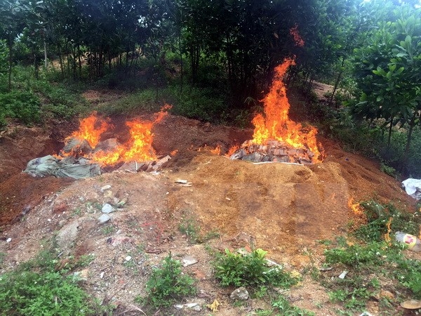 Ảnh minh họa. (Ảnh: Nguyễn Ho&agrave;ng/TTXVN)