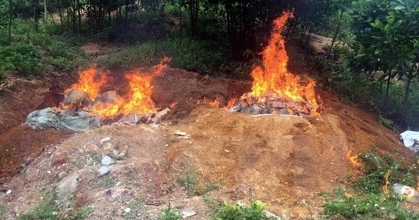 Hà Nội tiêu hủy nhiều sản phẩm không đảm bảo an toàn thực phẩm