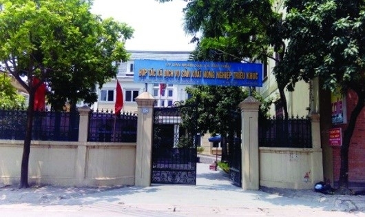 HTX Dịch vụ Nông nghiệp Triều Khúc: Hoạt động bết bát, vẫn “ăn” chênh lệch hàng tỷ đồng