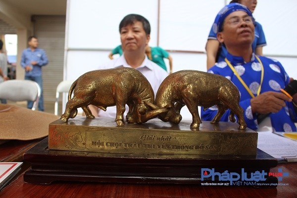 Biểu tượng chiến thắng của lễ hội chọi Tr&acirc;u Đồ Sơn, đ&atilde; c&oacute; chủ nh&acirc;n.