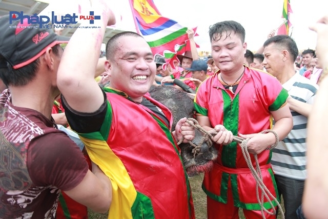 Niềm vui của đ&ocirc;i d&agrave;nh chiến thắng tại hội chọi Tr&acirc;u Đồ Sơn 2016.