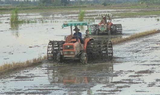 Đất trồng l&uacute;a sẽ bị suy tho&aacute;i sau nhiều vụ gieo trồng.