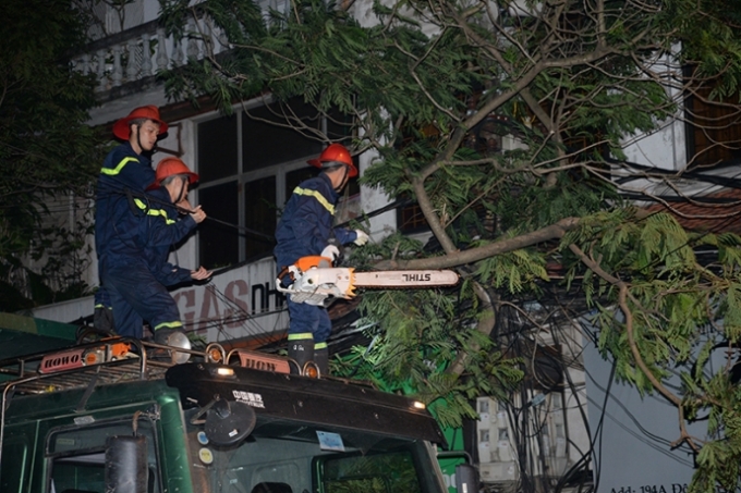 Cứu hộ đ&atilde; phải cưa c&agrave;nh c&acirc;y