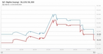 Giá vàng ngày 11/9: Tăng mạnh nhất trong 3 tuần