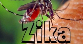 Cảnh báo: Thái Lan, Singapore phát hiện thêm nhiều sản phụ nhiễm Zika