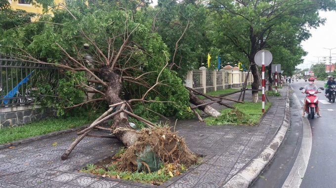 B&atilde;o số 4 khiến 2 người thương vong ở tỉnh Thừa Thi&ecirc;n - Huế.