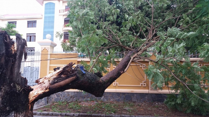 B&atilde;o số 4: Tỉnh Thừa Thi&ecirc;n &ndash; Huế c&oacute; 2 người thương vong